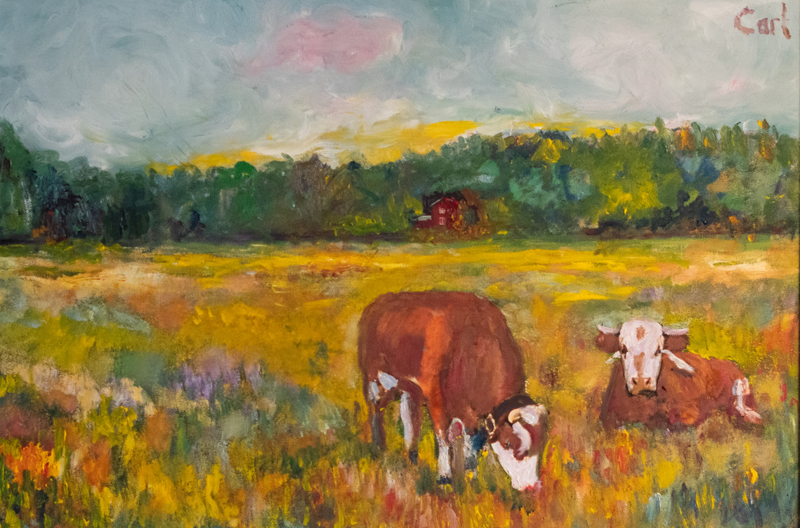 Cows on the field 2