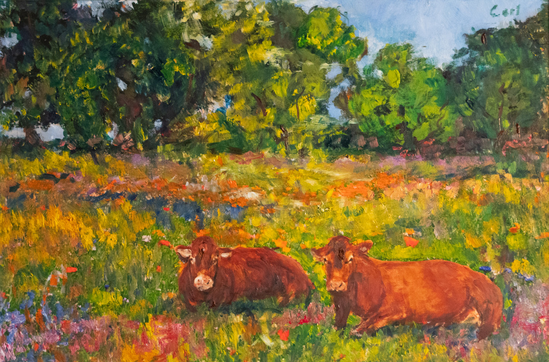 Cows on the field 1